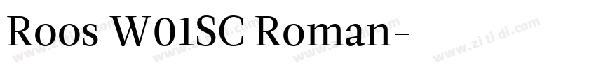 Roos W01SC Roman字体转换